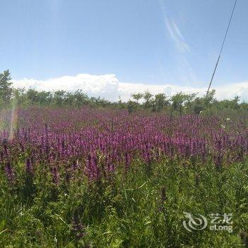 共和县华天酒店酒店提供图片