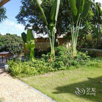 江门新会古兜温泉泉林私家别墅酒店提供图片