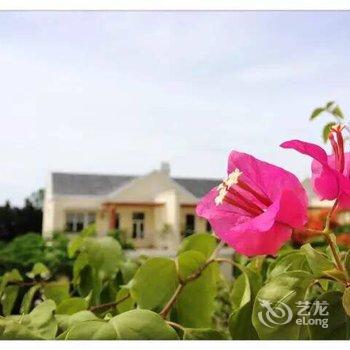 江门新会古兜温泉泉林私家别墅酒店提供图片
