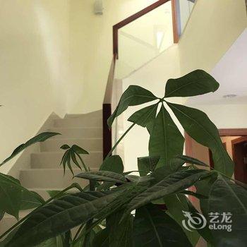 江门新会古兜温泉泉林私家别墅酒店提供图片