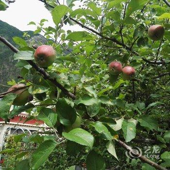 林芝波密相见雪山客栈酒店提供图片