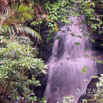 广东第一峰温泉度假村(清远阳山天泉度假村)酒店提供图片