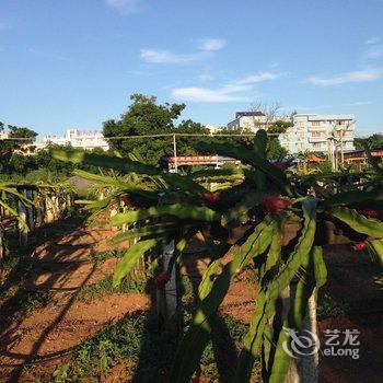 北海涠洲岛时光剪影客栈酒店提供图片