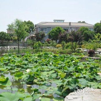 华博度假村(上海国际旅游度假区野生动物园店)酒店提供图片