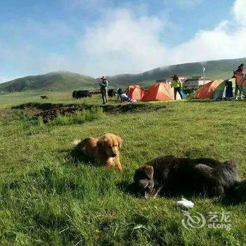 青海湖鸟岛牧人家帐房宾馆酒店提供图片