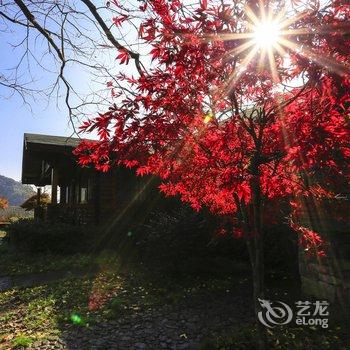 余姚老柿林山居度假村酒店提供图片