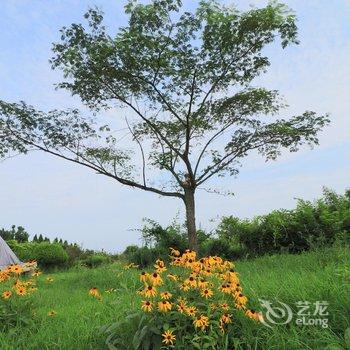 日照山海天大酒店一号楼海景客房酒店提供图片