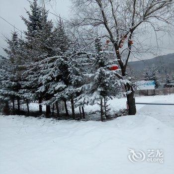 雪乡雪幻家庭旅馆酒店提供图片