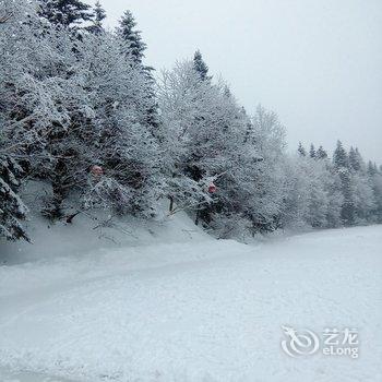 雪乡雪幻家庭旅馆酒店提供图片