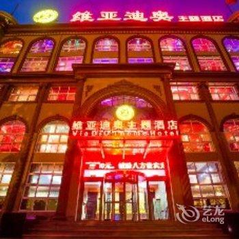 鹤壁维亚迪奥主题酒店酒店提供图片