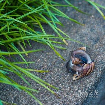 西双版纳逸住精品酒店酒店提供图片