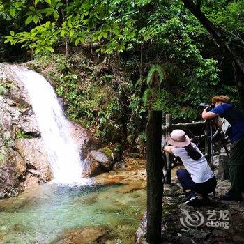 松阳箬寮杜鹃陶居民宿酒店提供图片