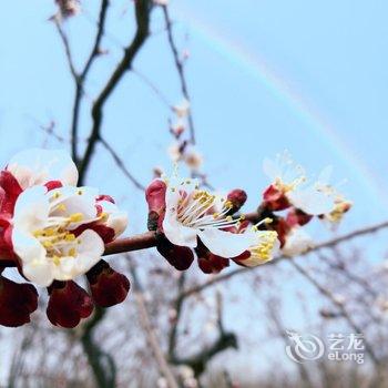 曲阜海棠小镇民宿酒店提供图片