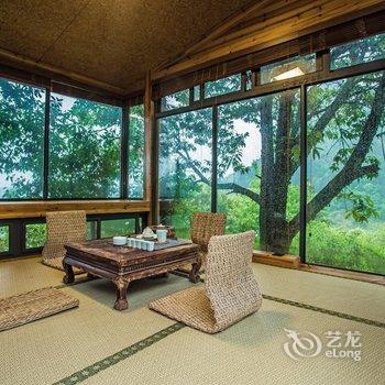 武夷山山舍茶集客栈酒店提供图片