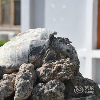 吉县壶口蓬莱山庄酒店提供图片