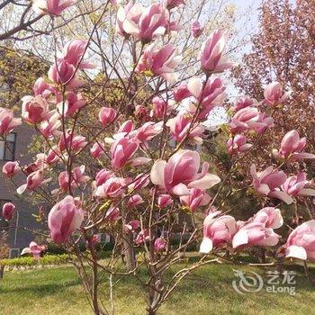 滦县龙翔花园酒店酒店提供图片