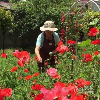 林芝波密相见雪山客栈酒店提供图片