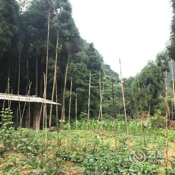 峨眉山风林月山庄酒店提供图片