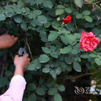 昆山周庄漫行居·花园美宿酒店提供图片