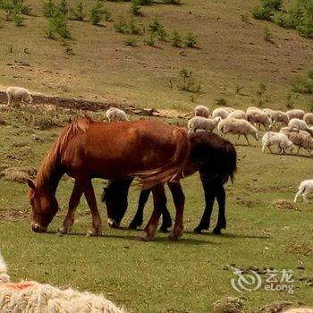 丰宁坝上草原民兴农家院酒店提供图片