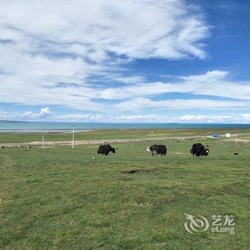 黑马河九号大本营露营基地酒店提供图片