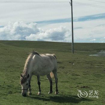 黑马河九号大本营露营基地酒店提供图片