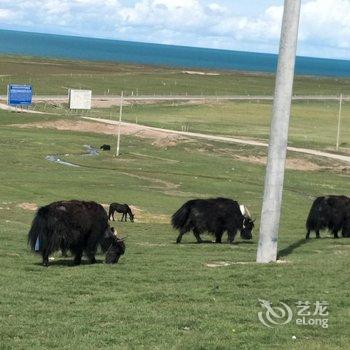 黑马河九号大本营露营基地酒店提供图片