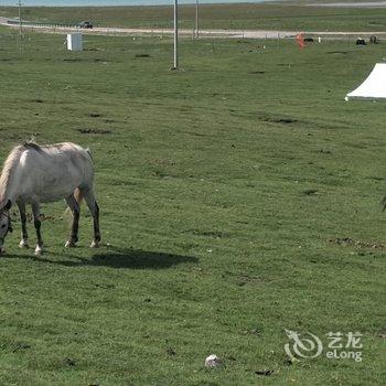 黑马河九号大本营露营基地酒店提供图片