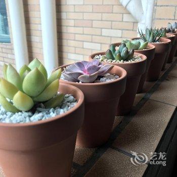 广州厚德居青年旅舍石牌桥站酒店提供图片