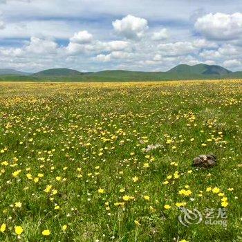 碌曲秘境郎木客栈酒店提供图片