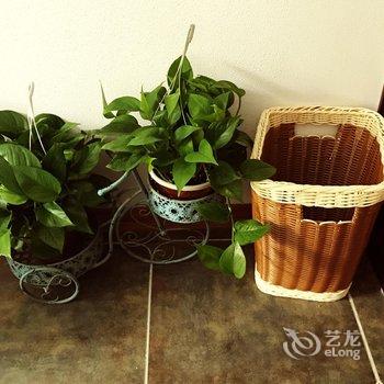 西双版纳兰纳美宿客栈酒店提供图片