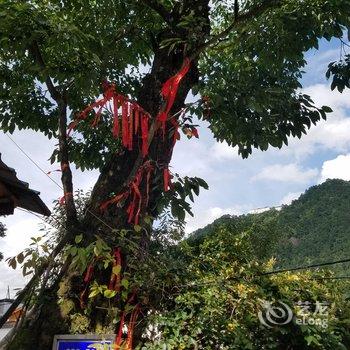 九华山杰静别墅酒店提供图片