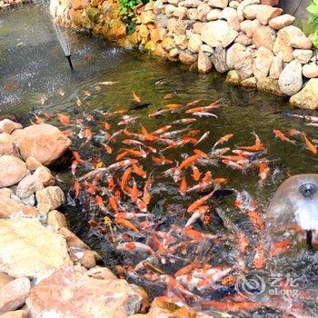 饶平星河城大酒店酒店提供图片