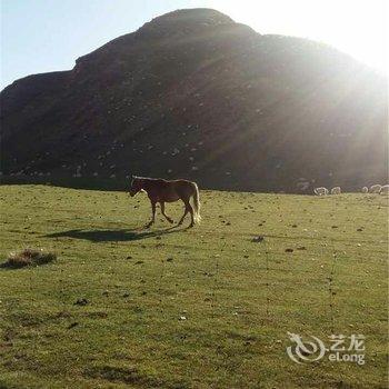 青海湖扎西德吉帐房宾馆酒店提供图片