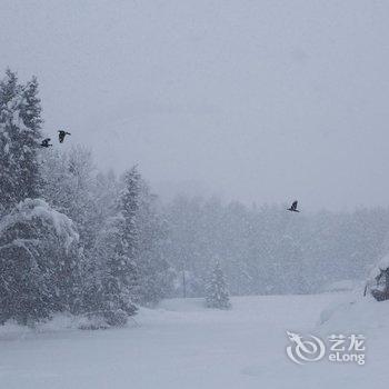 禾木时光里摄影主题客栈酒店提供图片