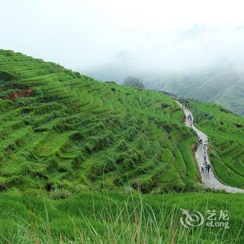 龙胜农家客栈酒店提供图片