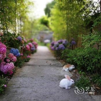 天台山花谷闲农民宿酒店提供图片