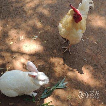 葫芦岛山海同湾酒店式自助公寓酒店提供图片