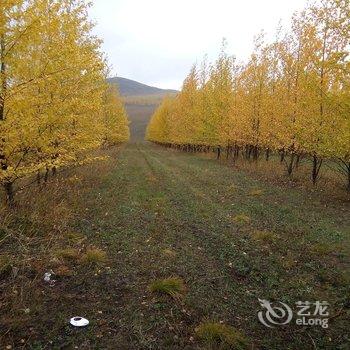 额尔古纳瓦罗佳宾馆酒店提供图片