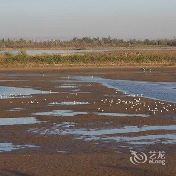 灵武河东机场蓝天宾馆酒店提供图片