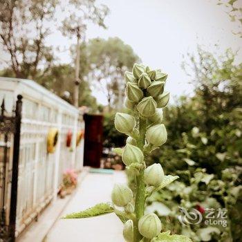 西宁麻尼台晓客栈酒店提供图片