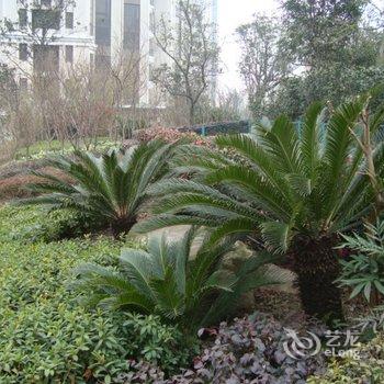 青岛mot168渡假公寓酒店提供图片