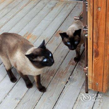 满洲里伏尔加河畔国际青年旅舍酒店提供图片