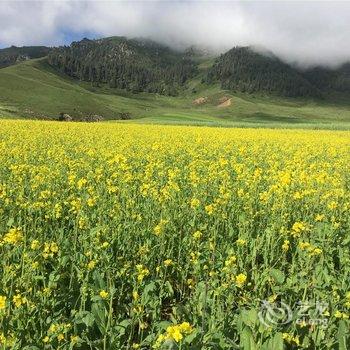 祁连牛心山农家山庄酒店提供图片