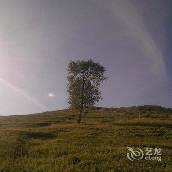 崇礼桦皮岭驿站酒店提供图片