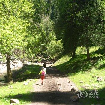 伊犁伊途青年旅舍酒店提供图片