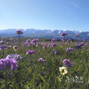 伊犁伊途青年旅舍酒店提供图片