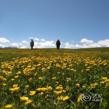 伊犁伊途青年旅舍酒店提供图片