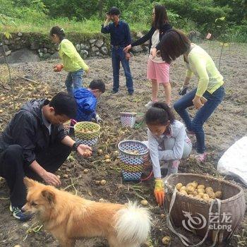 临安柘林源民宿许家11号酒店提供图片