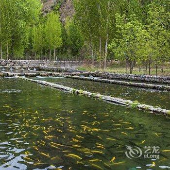 保定星辰度假酒店酒店提供图片